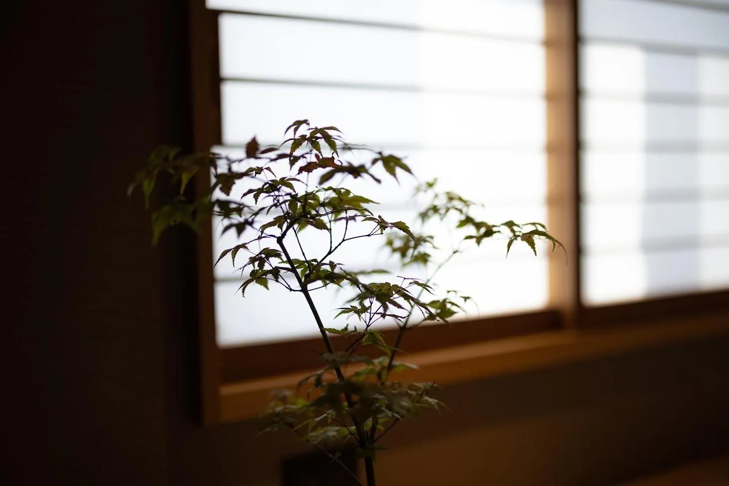 Higashiyama Shikikaboku Hotel Kyoto